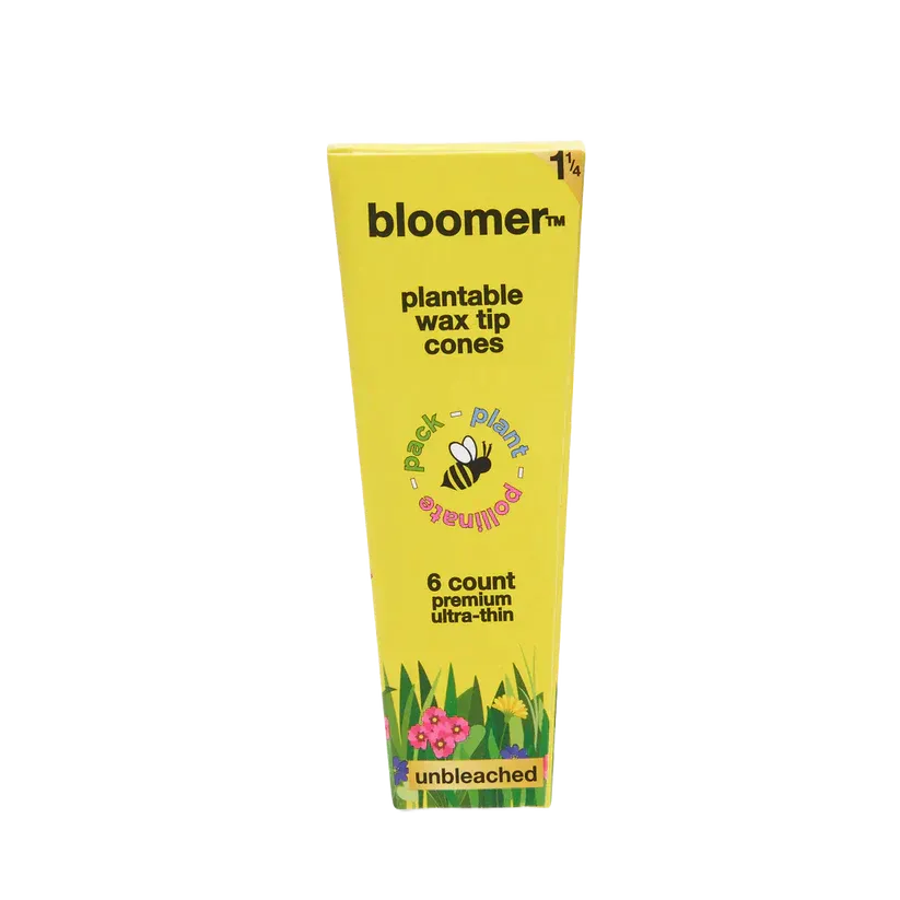 Bloomer™ 1-1/4 Paper Cones Unbleached Box of 21