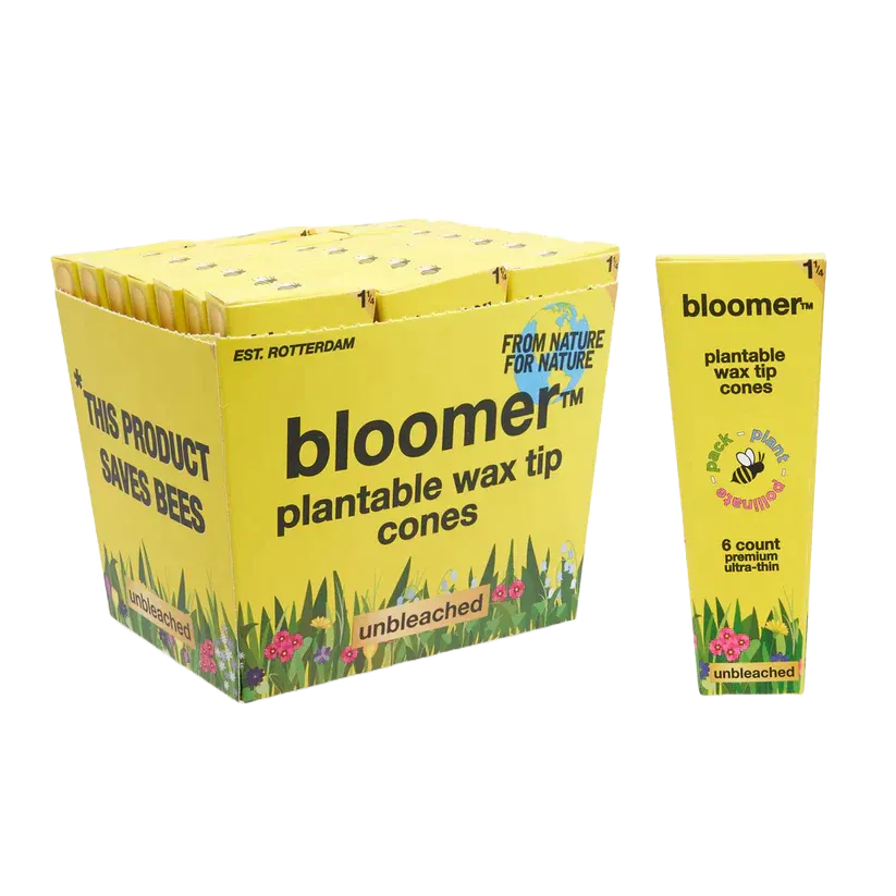 Bloomer™ 1-1/4 Paper Cones Unbleached Box of 21