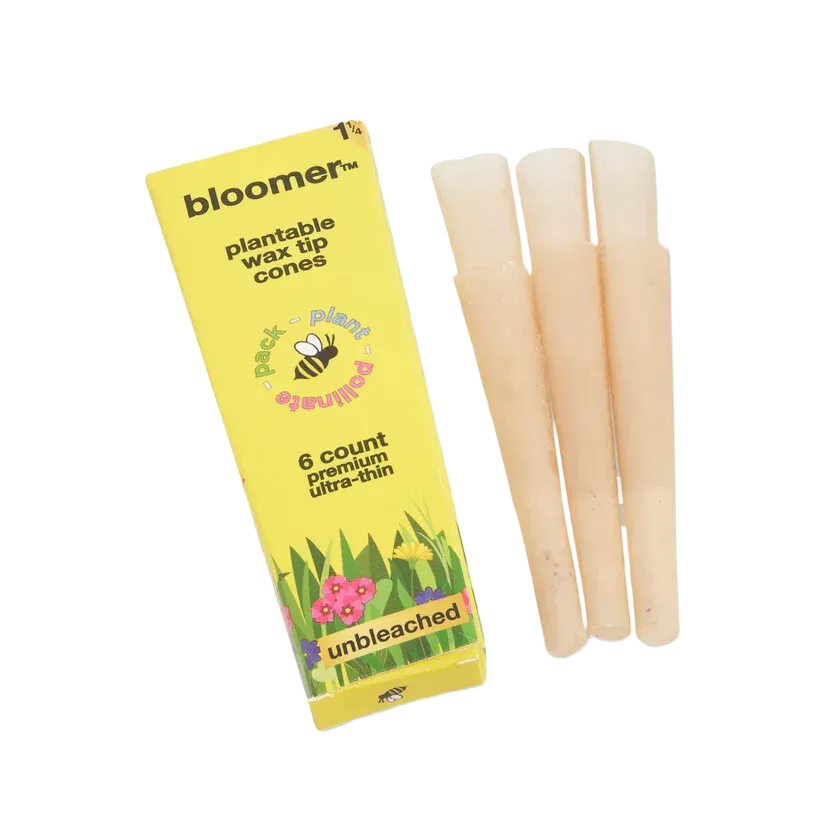 Bloomer™ 1-1/4 Paper Cones Unbleached Box of 21