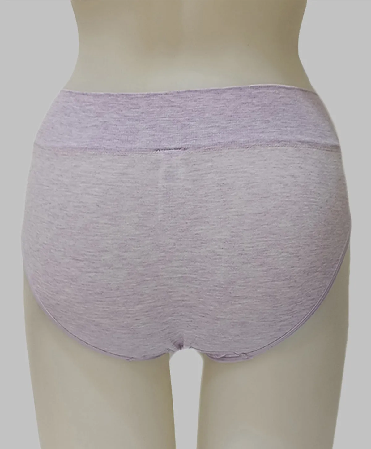 Seamless Thick Band High Waist Panty 502-7369S